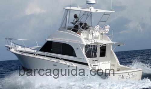 Bertram 33 Flybridge recensioni e scheda tecnica